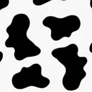 Meet your Posher, Maddie